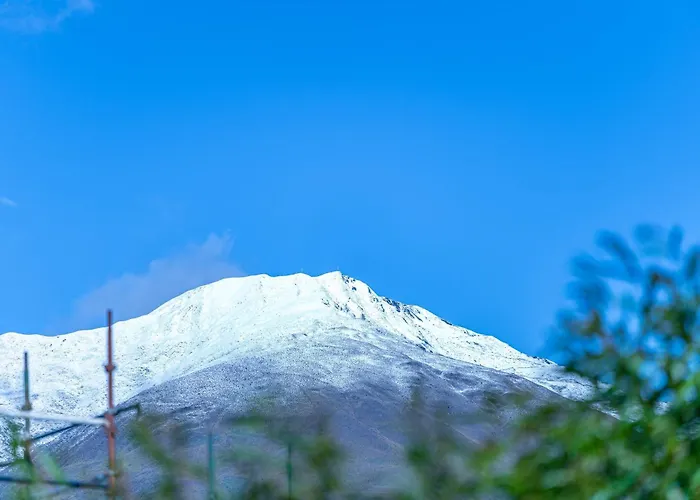 111 Wanaka